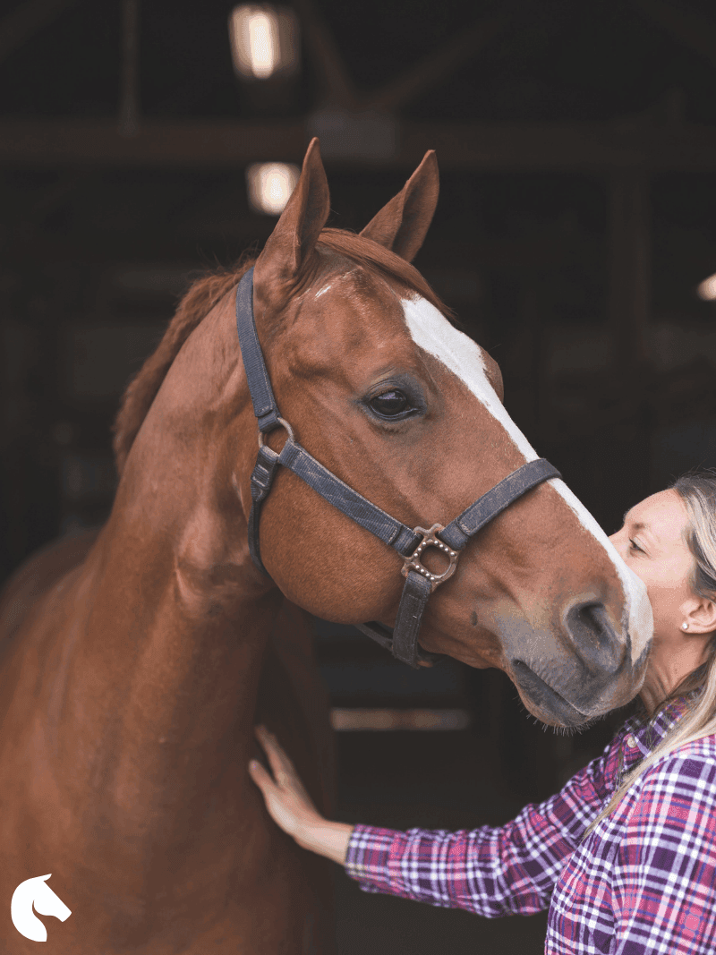Horse owner with their horse
